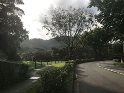 Hume Park I (D21), Condominium #582583061